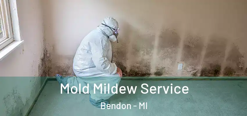  Mold Mildew Service Bendon - MI