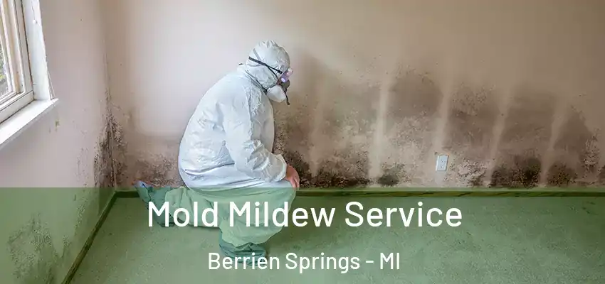  Mold Mildew Service Berrien Springs - MI