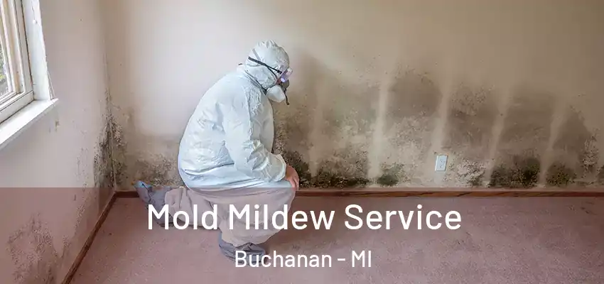  Mold Mildew Service Buchanan - MI