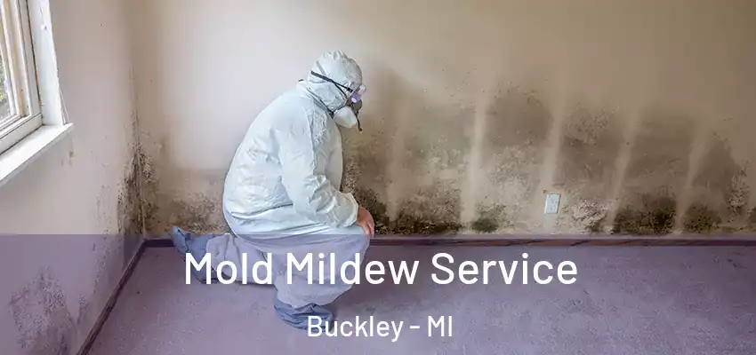  Mold Mildew Service Buckley - MI
