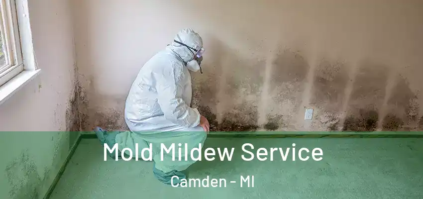  Mold Mildew Service Camden - MI