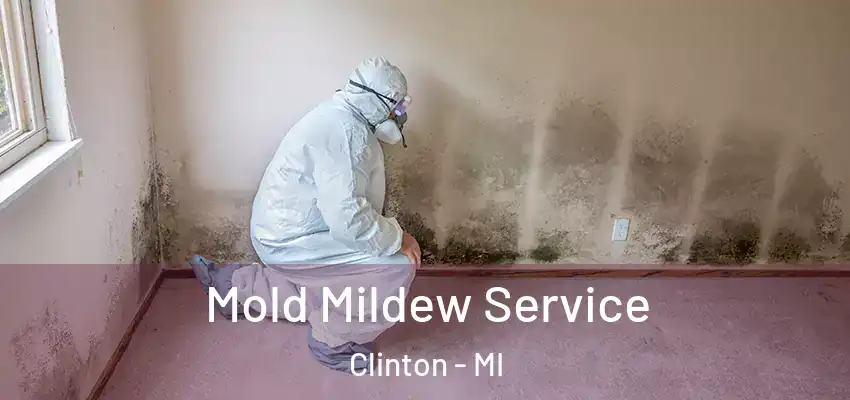  Mold Mildew Service Clinton - MI