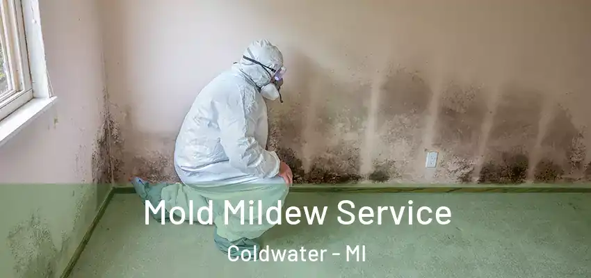  Mold Mildew Service Coldwater - MI