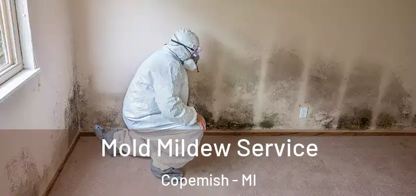  Mold Mildew Service Copemish - MI