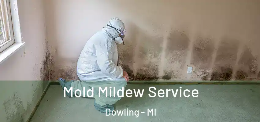  Mold Mildew Service Dowling - MI