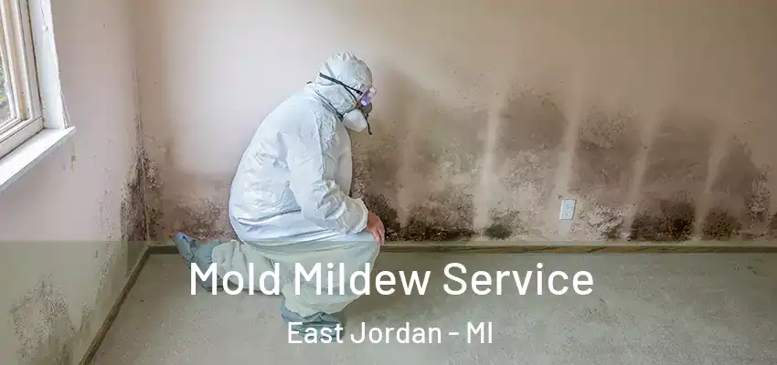  Mold Mildew Service East Jordan - MI