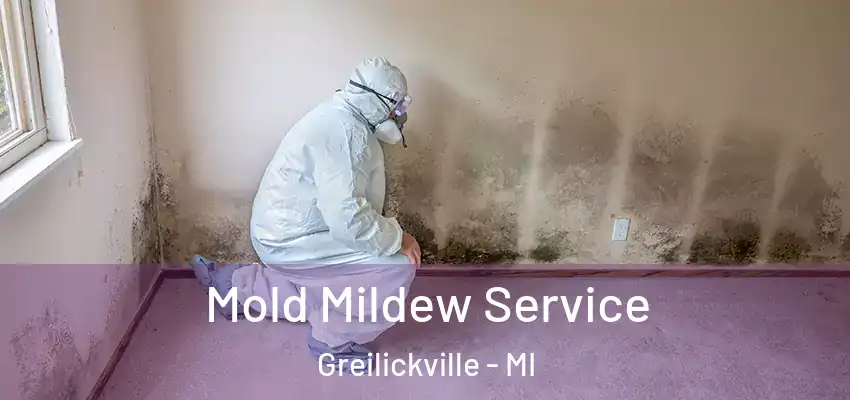  Mold Mildew Service Greilickville - MI