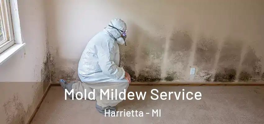  Mold Mildew Service Harrietta - MI