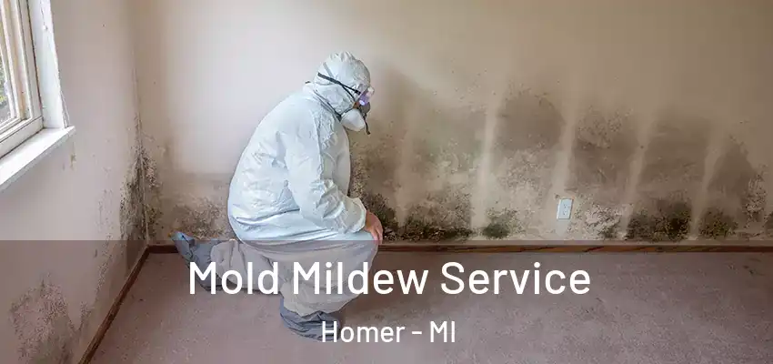  Mold Mildew Service Homer - MI