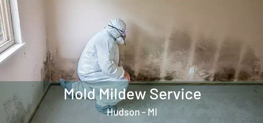 Mold Mildew Service Hudson - MI