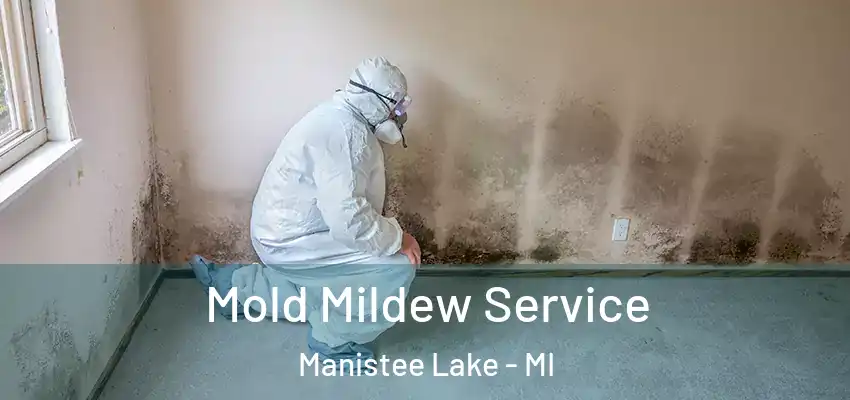  Mold Mildew Service Manistee Lake - MI