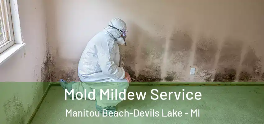  Mold Mildew Service Manitou Beach-Devils Lake - MI