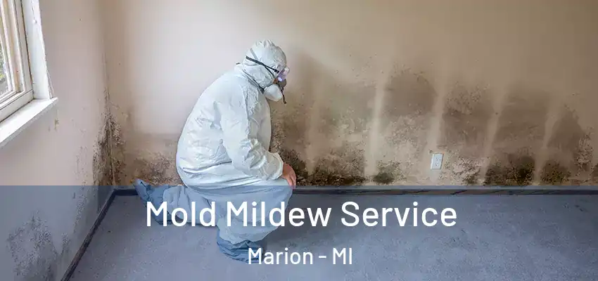 Mold Mildew Service Marion - MI