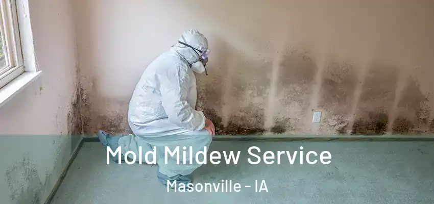  Mold Mildew Service Masonville - IA