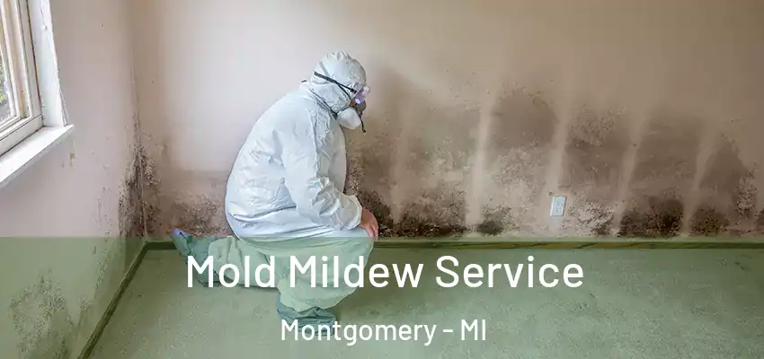 Mold Mildew Service Montgomery - MI