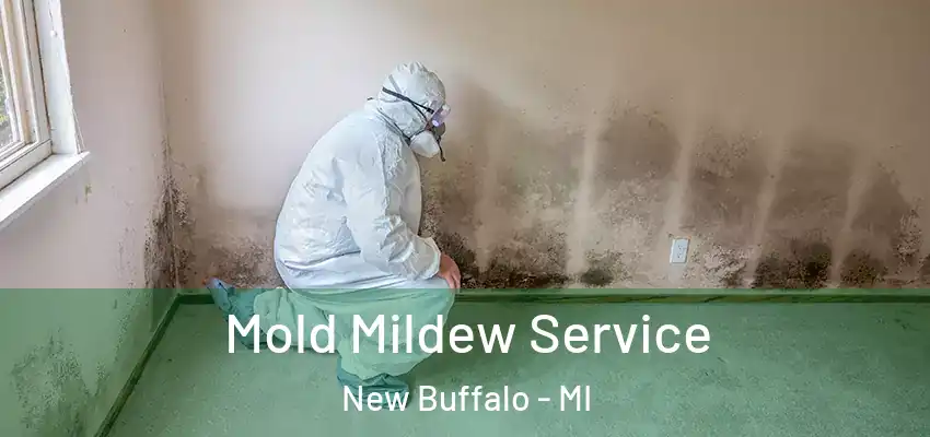  Mold Mildew Service New Buffalo - MI