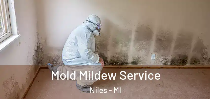 Mold Mildew Service Niles - MI