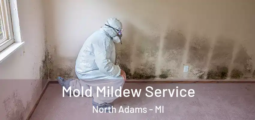  Mold Mildew Service North Adams - MI
