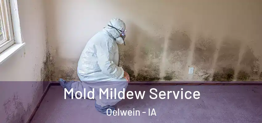  Mold Mildew Service Oelwein - IA