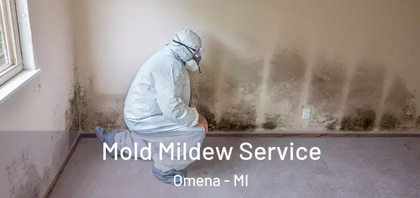 Mold Mildew Service Omena - MI