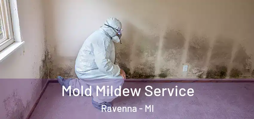  Mold Mildew Service Ravenna - MI