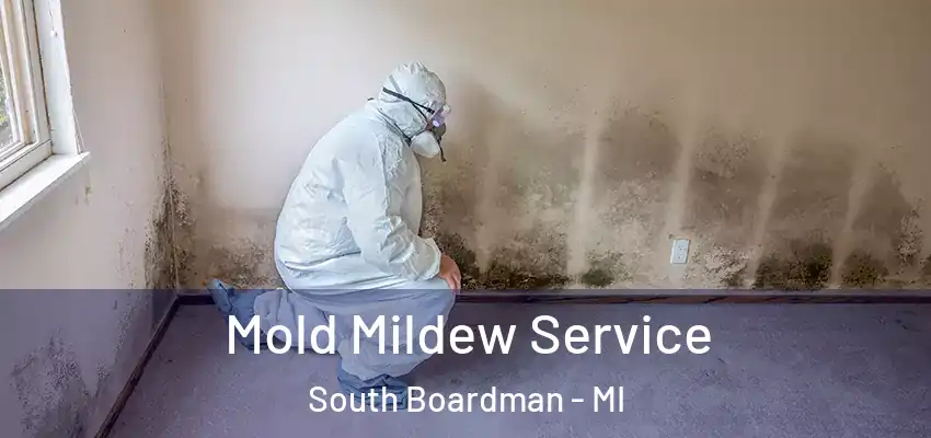  Mold Mildew Service South Boardman - MI