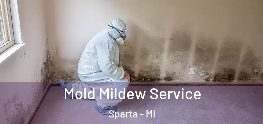 Mold Mildew Service Sparta - MI