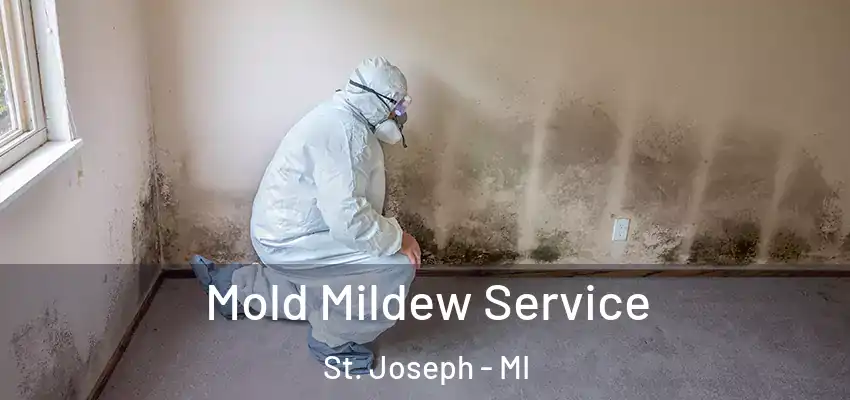  Mold Mildew Service St. Joseph - MI
