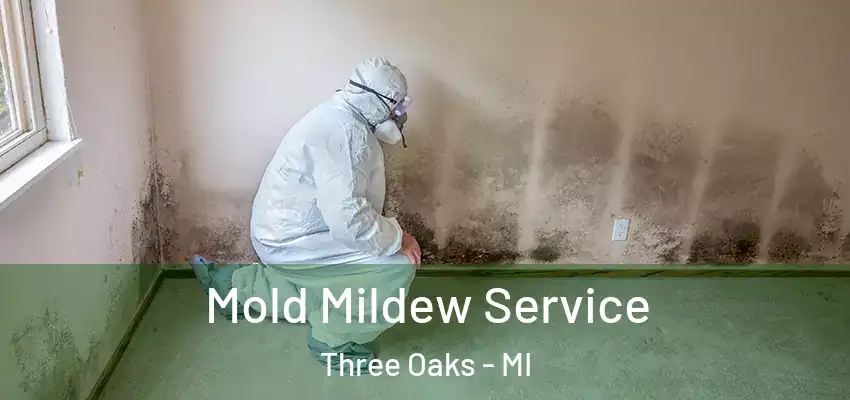 Mold Mildew Service Three Oaks - MI
