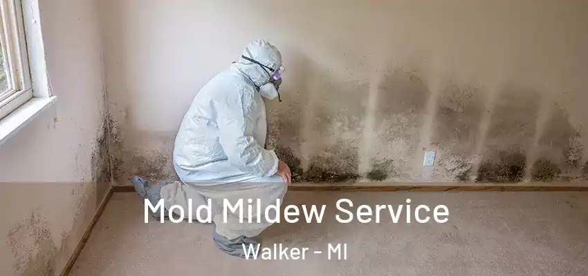  Mold Mildew Service Walker - MI