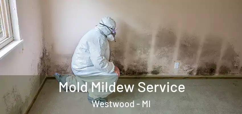  Mold Mildew Service Westwood - MI