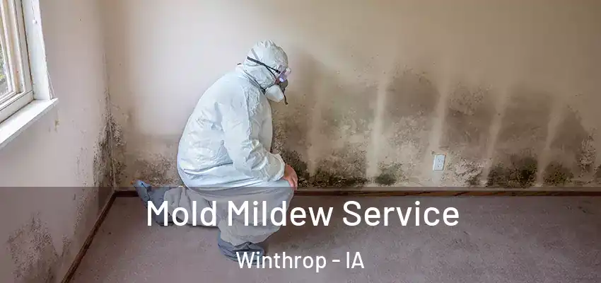  Mold Mildew Service Winthrop - IA