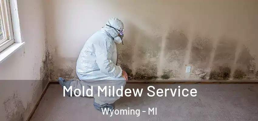  Mold Mildew Service Wyoming - MI
