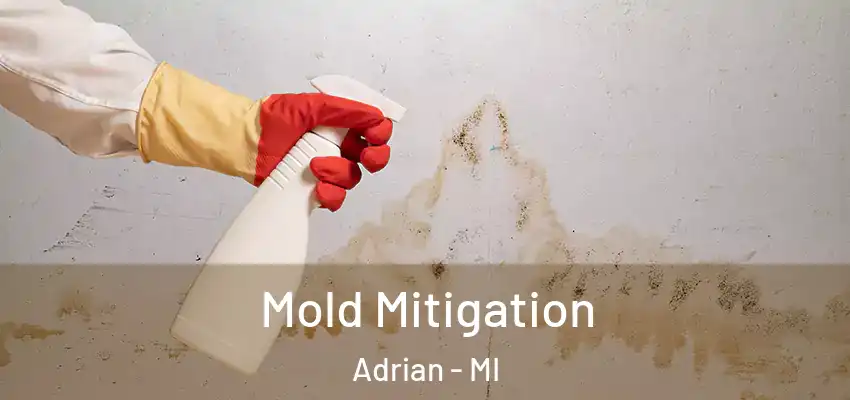  Mold Mitigation Adrian - MI