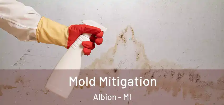  Mold Mitigation Albion - MI