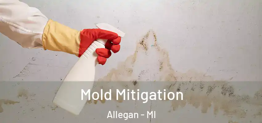  Mold Mitigation Allegan - MI