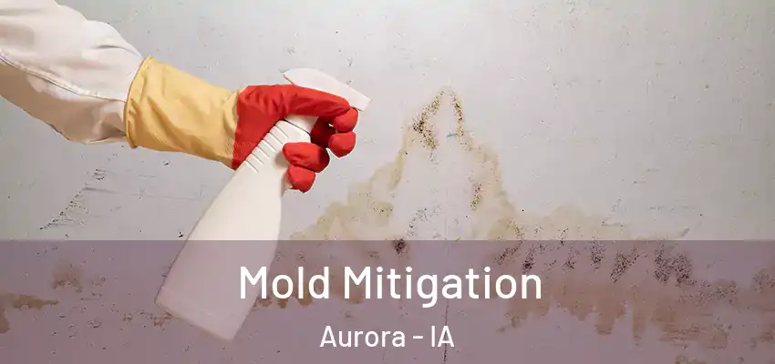  Mold Mitigation Aurora - IA