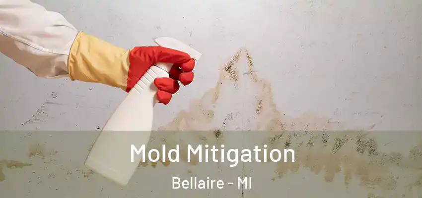  Mold Mitigation Bellaire - MI