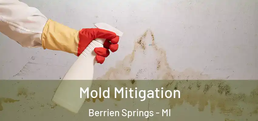  Mold Mitigation Berrien Springs - MI