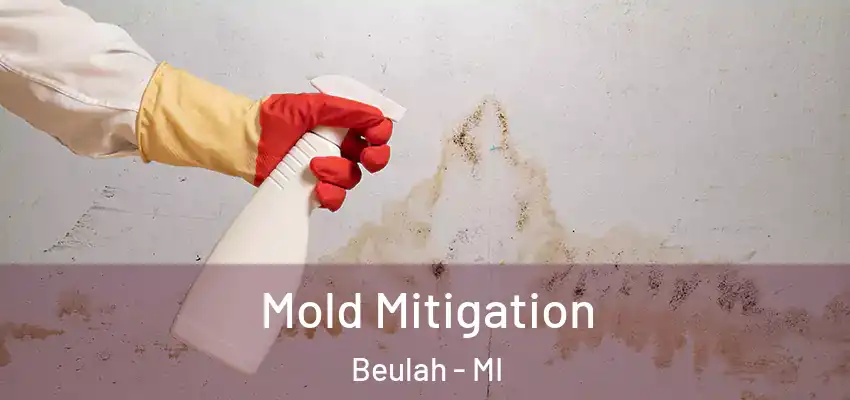  Mold Mitigation Beulah - MI