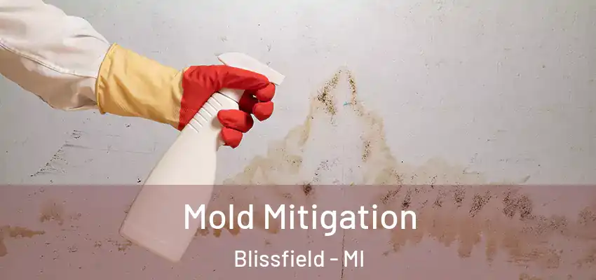  Mold Mitigation Blissfield - MI