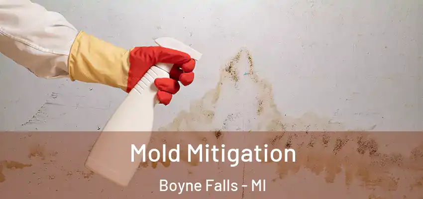  Mold Mitigation Boyne Falls - MI