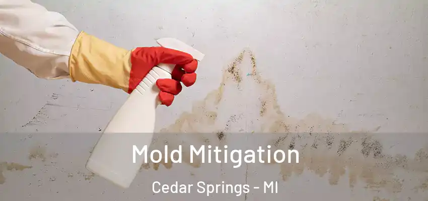  Mold Mitigation Cedar Springs - MI