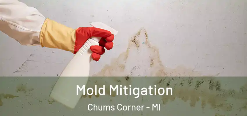  Mold Mitigation Chums Corner - MI