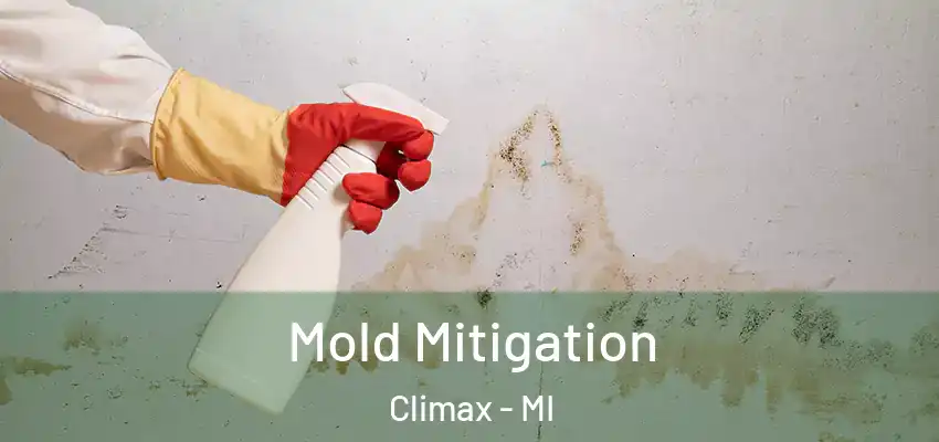  Mold Mitigation Climax - MI