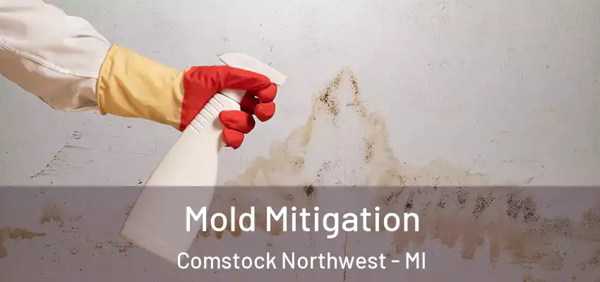  Mold Mitigation Comstock Northwest - MI