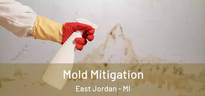  Mold Mitigation East Jordan - MI