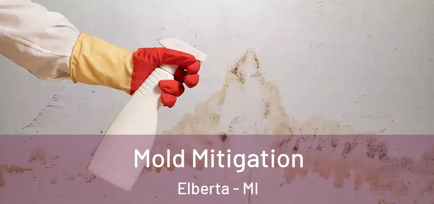  Mold Mitigation Elberta - MI