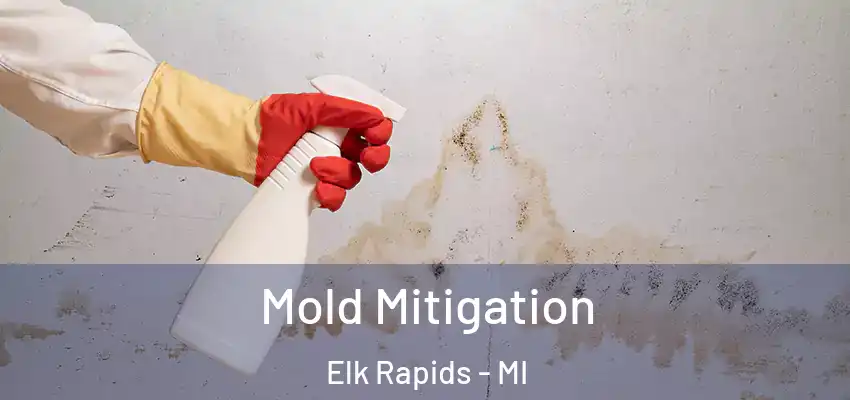  Mold Mitigation Elk Rapids - MI