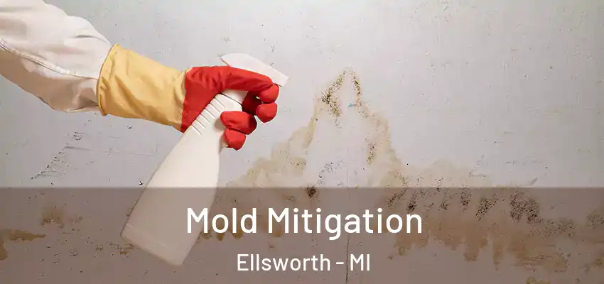  Mold Mitigation Ellsworth - MI